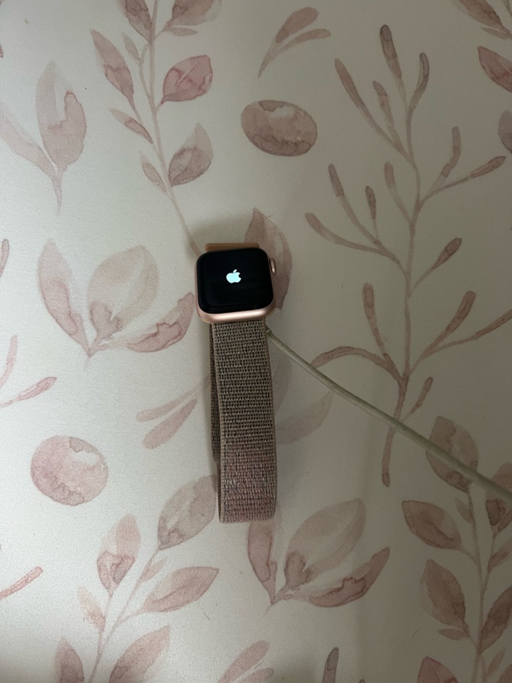 Apple Watch in Pink Sand with Pink Fabric Loop
